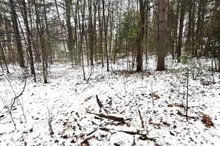 N11278 Kaufman Rd, Tomahawk, WI 54487 - Photo 32