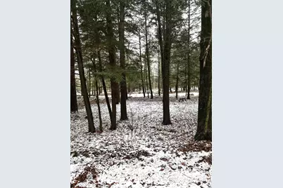 Mount Vista Road, Mosinee, WI 54455 - Photo 16