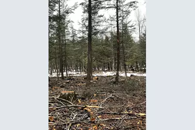 Mount Vista Road, Mosinee, WI 54455 - Photo 8