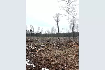 Mount Vista Road, Mosinee, WI 54455 - Photo 4