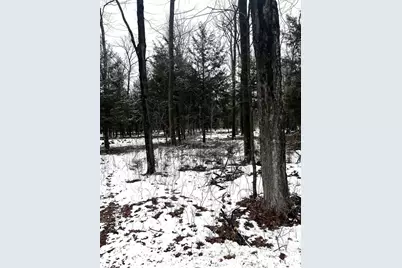 Mount Vista Road, Mosinee, WI 54455 - Photo 14