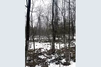 Mount Vista Road, Mosinee, WI 54455 - Photo 12