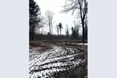 Mount Vista Road, Mosinee, WI 54455 - Photo 2