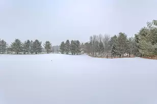 183555 Old Lake Rd, Birnamwood, WI 54414 - Photo 52