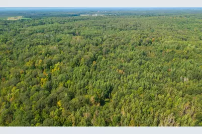 68.53 Acres Boundary Road, Hatley, WI 54471 - Photo 6