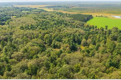 68.53 Acres Boundary Road, Hatley, WI 54471 - Photo 4