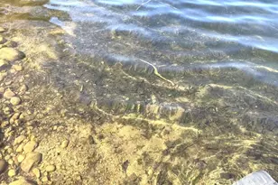 N9060 Big Twin Lake Ln, Pickerel, WI 54465 - Photo 6