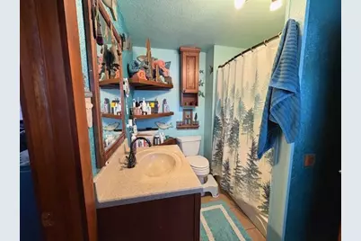 N9681 N Summit Lane, Summit Lake, WI 54485 - Photo 10