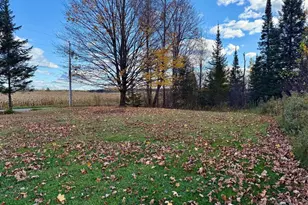 N1979 S West Rd, Ogema, WI 54459 - Photo 48