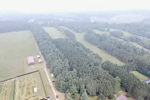 9948 &amp 9880 Siemering Dr, Tomahawk, WI 54487 - Photo 34