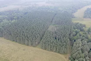 9948 &amp 9880 Siemering Dr, Tomahawk, WI 54487 - Photo 38