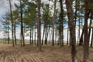 3910 County Rd E, Junction City, WI 54443 - Photo 20
