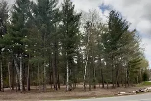 3910 County Rd E, Junction City, WI 54443 - Photo 18