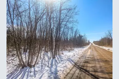 20 Acres On Cloverland, Conrath, WI 54731 - Photo 14