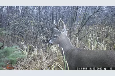 20 Acres On Cloverland, Conrath, WI 54731 - Photo 6