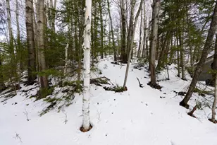 W5326 Fawn Ave, Westboro, WI 54490 - Photo 18