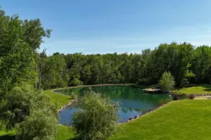 9893 Bluff Dr, Pittsville, WI 54466 - Photo 30