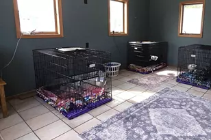 W4699 Cth S, Irma, WI 54442 - Photo 16