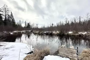 W3552 Porky Ln, Lily, WI 54491 - Photo 4