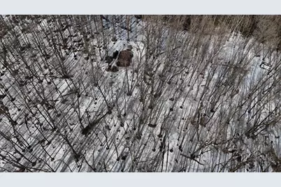 W1438 Country Squire Road, Gleason, WI 54435 - Photo 12