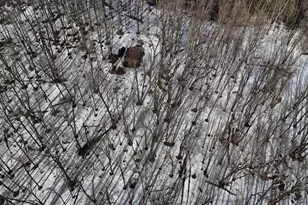 W1438 Country Squire Rd, Gleason, WI 54435 - Photo 12