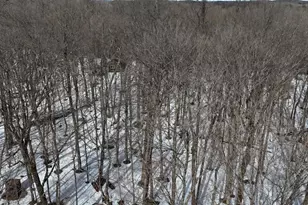 W1438 Country Squire Rd, Gleason, WI 54435 - Photo 20