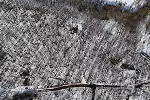 W1438 Country Squire Rd, Gleason, WI 54435 - Photo 22