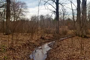 5404 Yetter Rd, Pittsville, WI 54466 - Photo 28