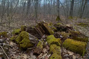 5404 Yetter Rd, Pittsville, WI 54466 - Photo 24