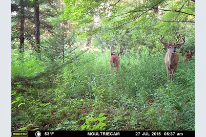 166483 County Road Z, Wausau, WI 54403 - Photo 38