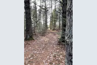 166483 County Road Z, Wausau, WI 54403 - Photo 36