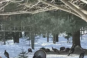 166483 Co Rd Z, Wausau, WI 54403 - Photo 44