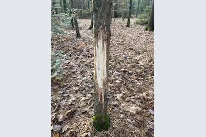 166483 County Road Z, Wausau, WI 54403 - Photo 40