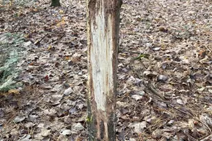 166483 Co Rd Z, Wausau, WI 54403 - Photo 40