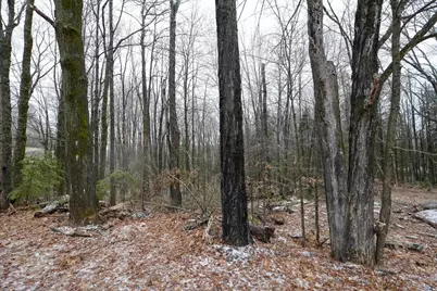 W5342 Fawn Avenue, Westboro, WI 54490 - Photo 14