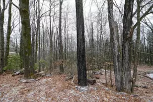 W5342 Fawn Ave, Westboro, WI 54490 - Photo 14