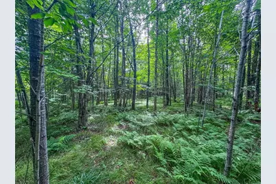 93.89A On Kundinger Road, Park Falls, WI 54552 - Photo 20