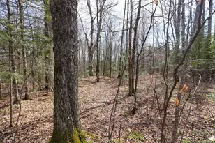 N8584 County Road E, Westboro, WI 54490 - Photo 22