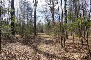 N8584 County Road E, Westboro, WI 54490 - Photo 20