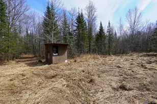 N8584 County Road E, Westboro, WI 54490 - Photo 22