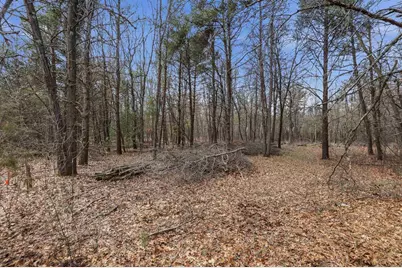 3.99 Acres Harding Road, Plainfield, WI 54966 - Photo 4