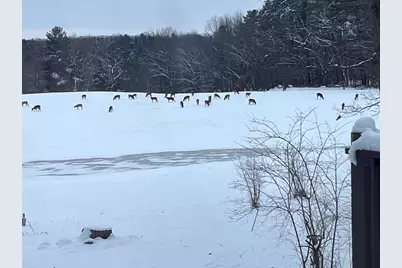 E1517 Johnson Road, Iola, WI 54945 - Photo 44