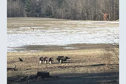 E1517 Johnson Road, Iola, WI 54945 - Photo 52