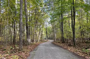 E1517 Johnson Rd, Iola, WI 54945 - Photo 46