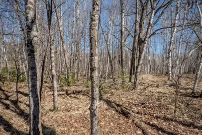 N10688 Tomptabo Road, Gleason, WI 54435 - Photo 34