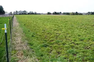 W7426 County Rd G, Willard, WI 54493 - Photo 26