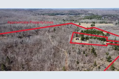45 Acres Turtle Lake Road, Lily, WI 54491 - Photo 2