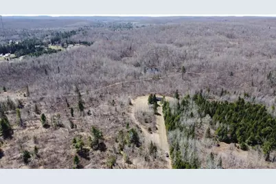 45 Acres Turtle Lake Road, Lily, WI 54491 - Photo 6
