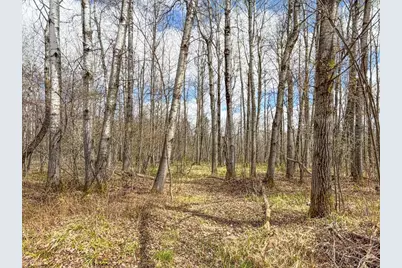 N9868 Woodland Lane, Phillips, WI 54555 - Photo 6