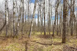 N9868 Woodland Ln, Phillips, WI 54555 - Photo 6